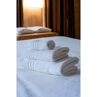 Prosop OLIMA HIGH-QUALITY HOTEL OLH500